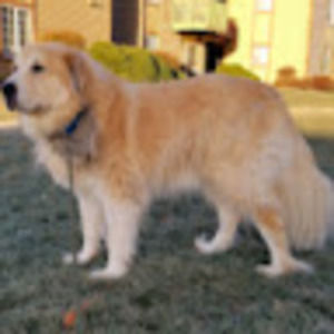 Meet your Posher, Travis